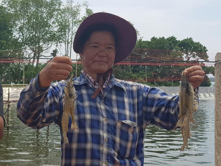 CP Foods’ holistic approach to farm shrimp sustainability everywhere CP Foods’ holistic approach to farm shrimp sustainability everywhere